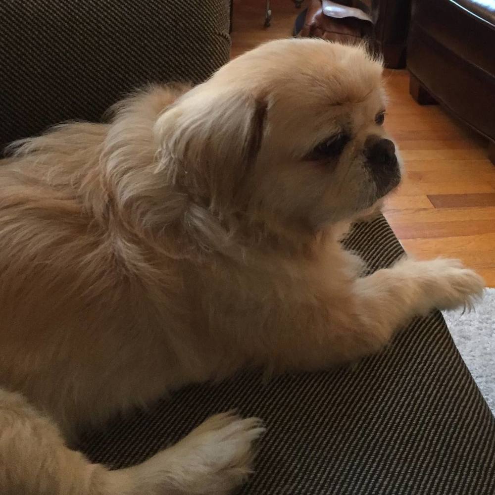 Meet your Posher, Barbara